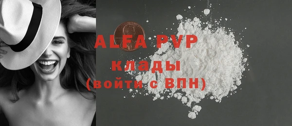 apvp Кукмор