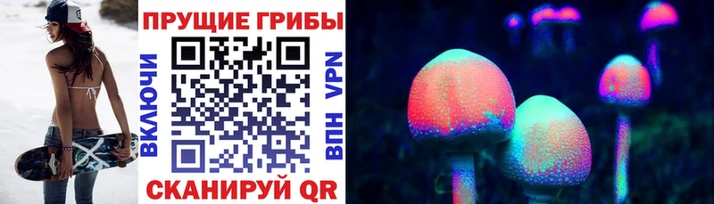 где купить наркотик  Кяхта  mega ссылки  Галлюциногенные грибы Psilocybe 